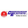 Carborundum Electrite
